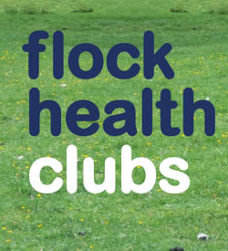 FLOCK HEALTH CLUBS - Image